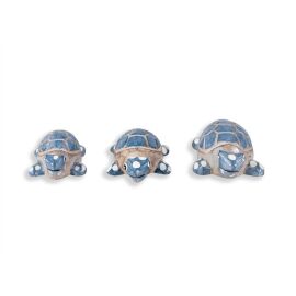 Schildkröte blau-weiß
