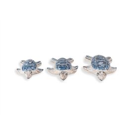 Schildkröte weiß blau